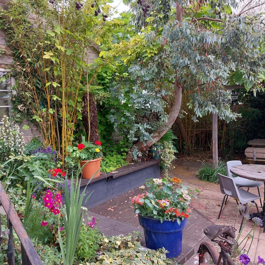 אילמינסטר The Five Dials Inn מראה חיצוני תמונה
